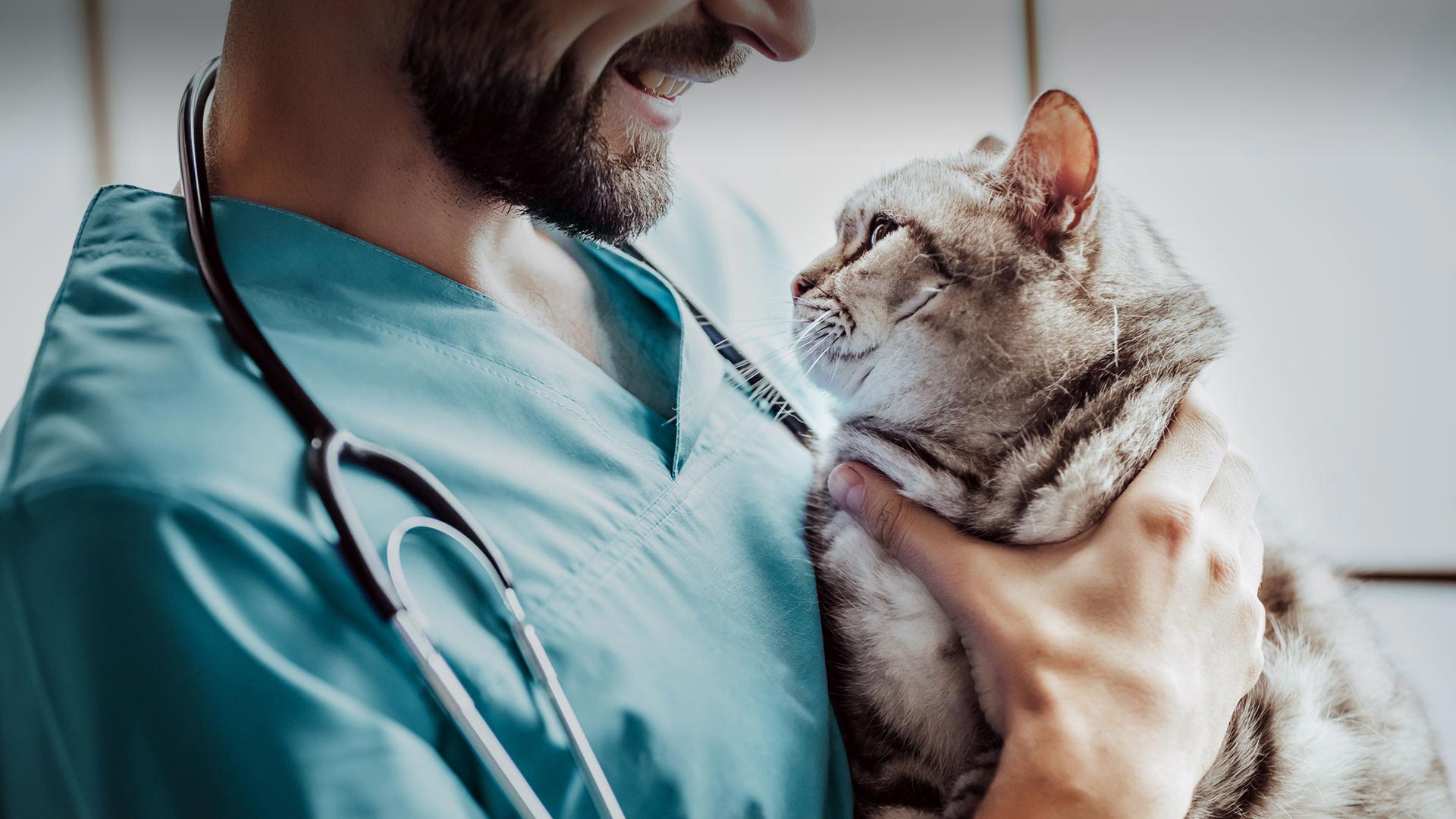 Gümüldür Veteriner